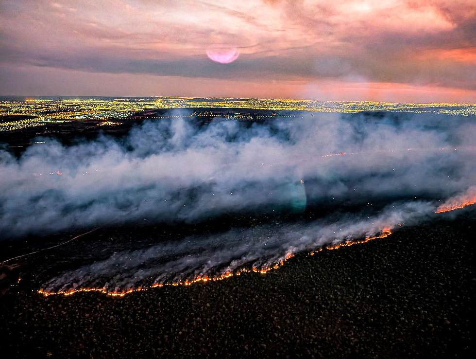 Fumaça de queimadas cobre Brasília, em 2024. Uma das consequências esperadas da nova lei é o aumento do desmatamento e dos incêndios florestais - Foto: Ricardo Stukcert - PR