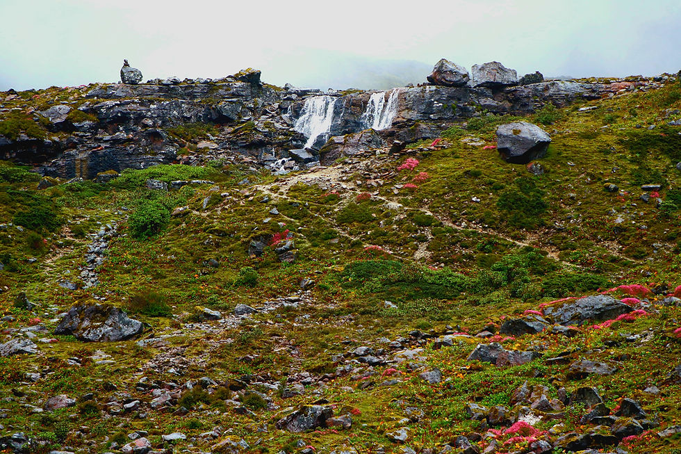 20221002_224056.jpg