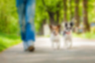 AdobeStock_64548156.jpeg