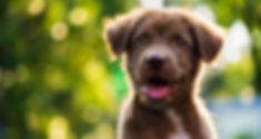 AdobeStock_131109599.jpeg