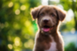 AdobeStock_131109599.jpeg