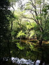 VAllée_magique.jpg