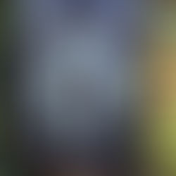 Крістін Генна. Провулок світлячків.