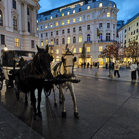 Відень: місто кави, музики та історії.