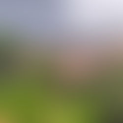 Прага - місто, в якому хочеться заблукати.