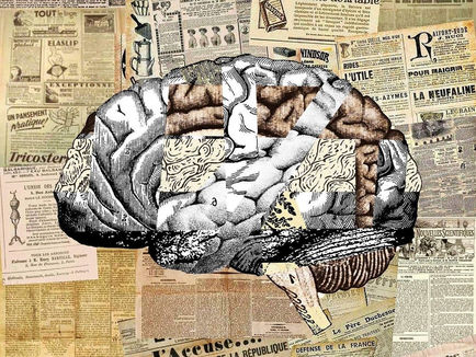 How Identity Forms inside the Brain of Subculture