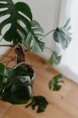 Cura di te - Claudia Schmid, Bildergalerie, Praxis