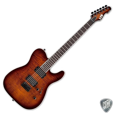 LTD TE-401FM DBSB GTM Gitarrenservice & Tontechnik M. Minder GmbH, ESP LTD Schweiz, E-Gitarren, Electric Guitars, Kaiserstuhl Schweiz, Moritz Minder