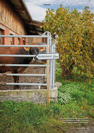 Bericht Aroma Biohof Bachhalde Seite 2.jpg