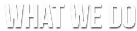 WHAT WE DO.png
