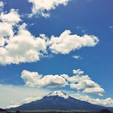 今後のブログ更新予定