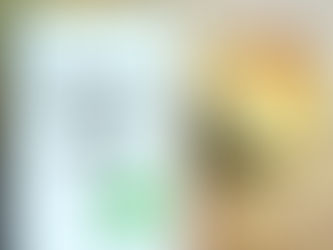 Morning Meditations with Coach Dave