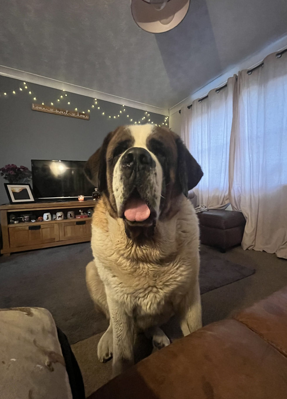 The face that made our house a home