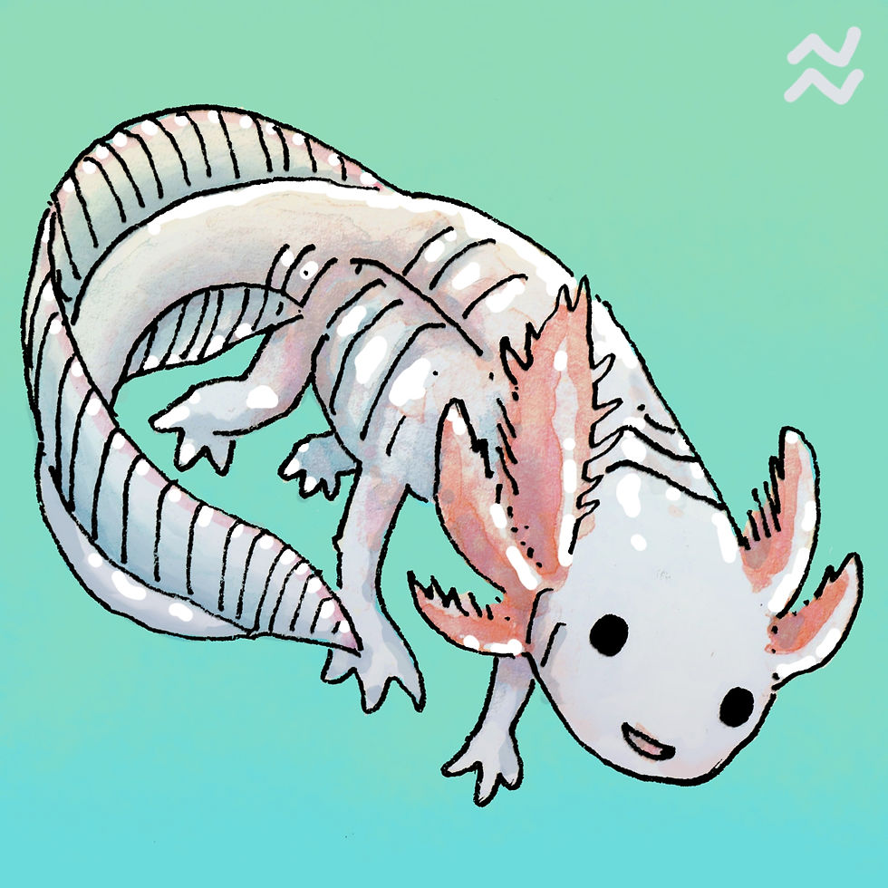 UnderwaterAxolotl1