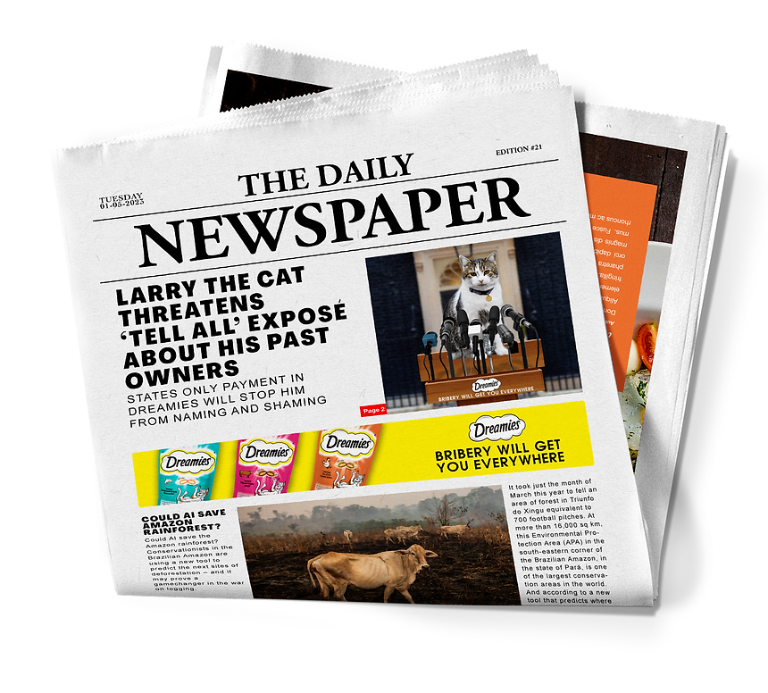 Newspaper.png