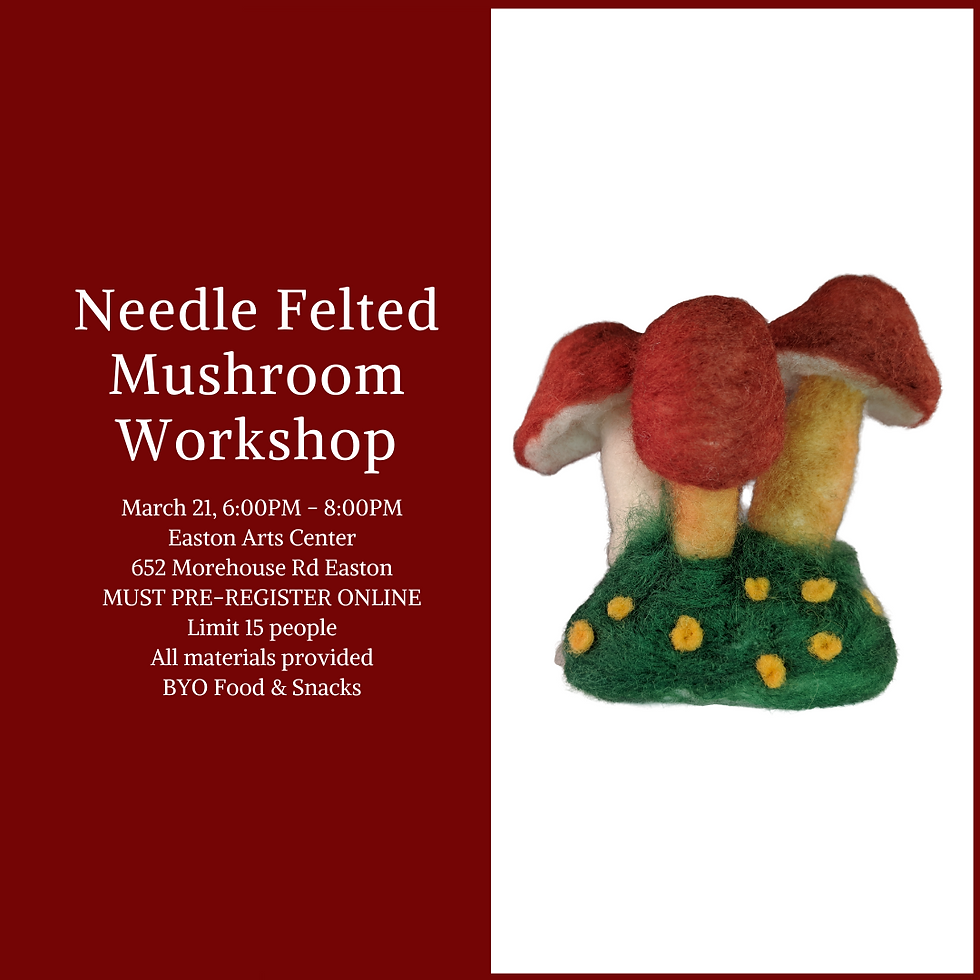 Needle Felted Mushroom Workshop