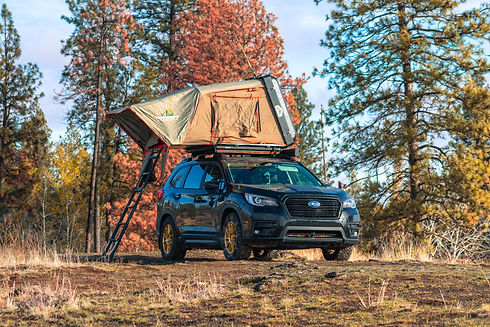 Ascent Onyx - Hog in Fall 004.jpg