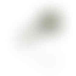 Sterling Silver | Peridot | Center Front