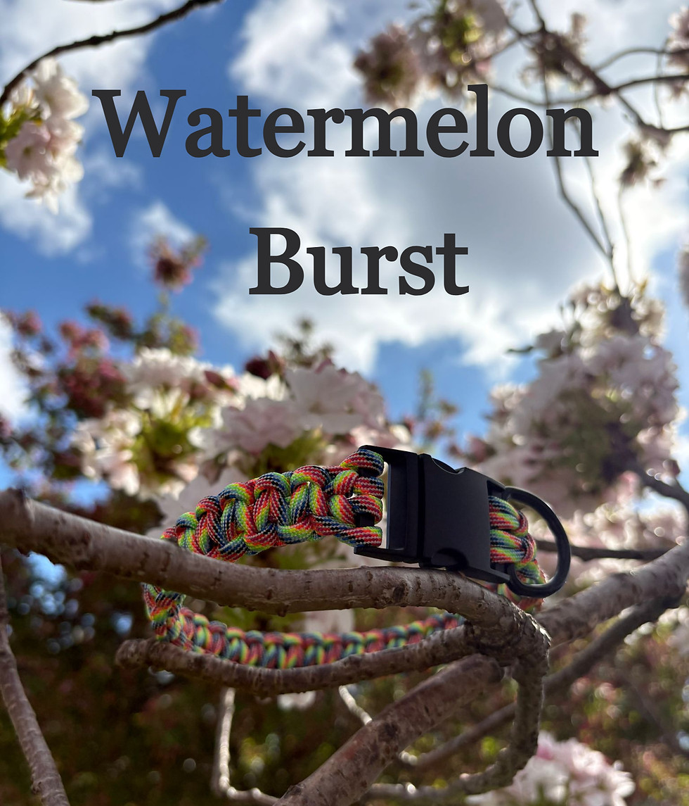 Thumbnail: Handmade Paracord Dog Collar (Custom Size)