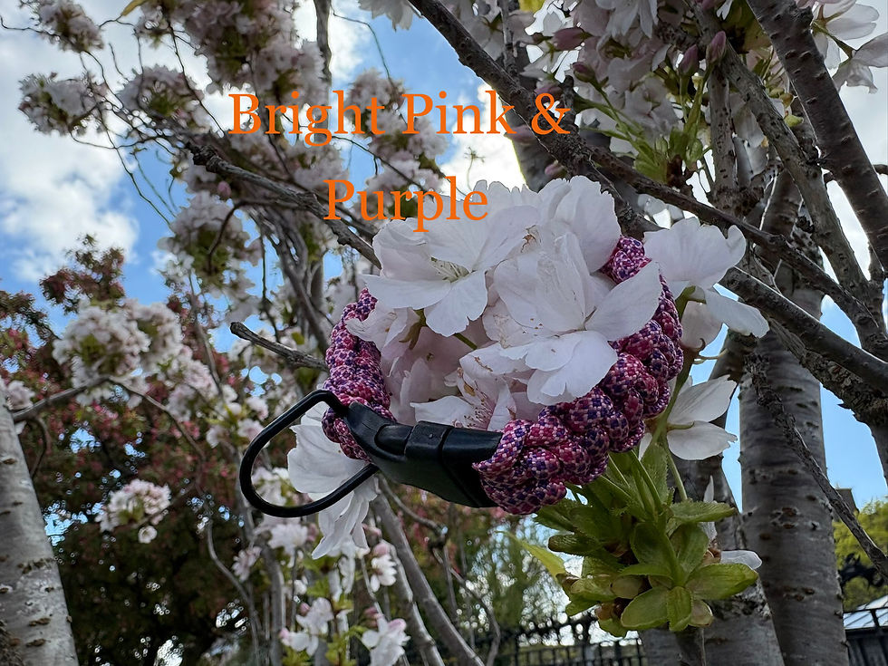 Thumbnail: Handmade Paracord Dog Collar (Custom Size)