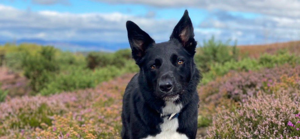 WhatsApp Image 2025-11-05 at 12.24.46.jpeg