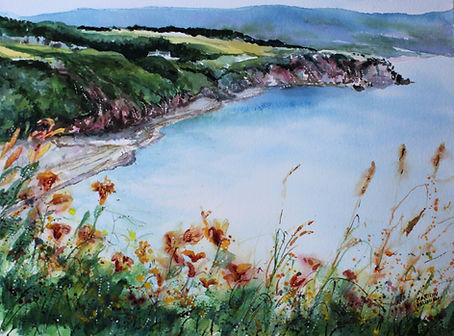 1634A DAY LILLIES IN THE HIGHLANDS 14.5x19.JPG