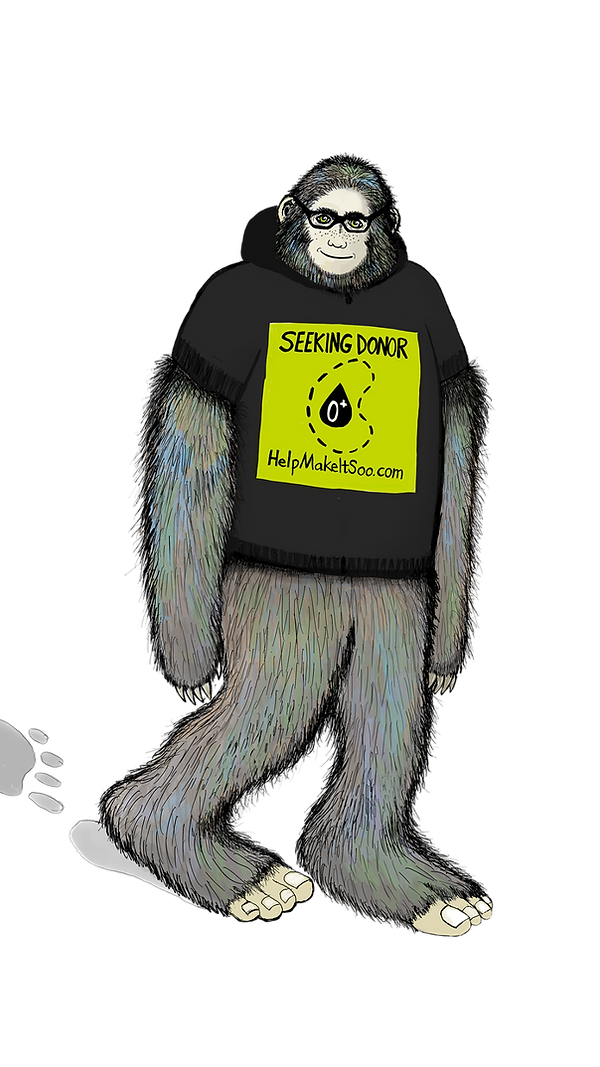 A drawing of a bigfoot character wearing a helpmakeitsoo.com tshirt