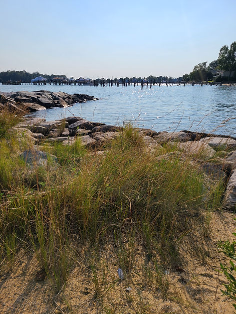 Shore line picture of the private community beach with rocks, sea grass, and water