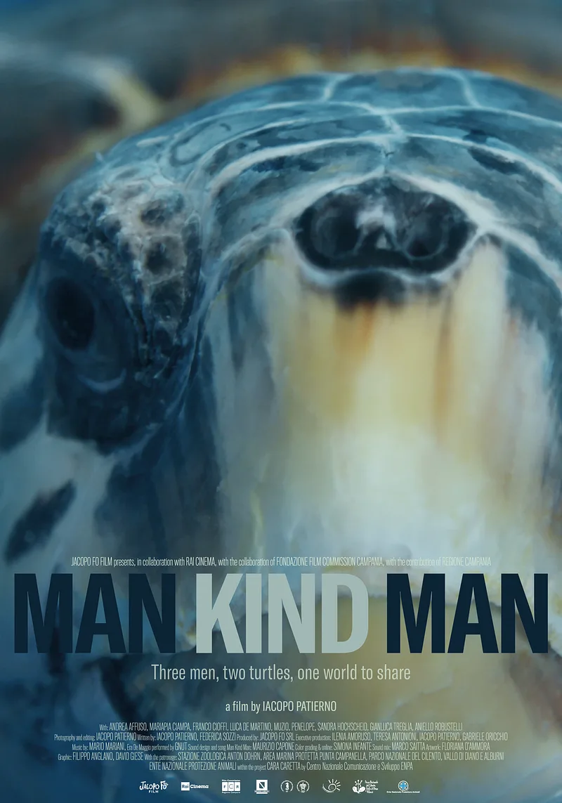 MKM_turtle.webp