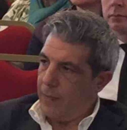 salvo palmari