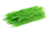 AdobeStock_89126468.jpeg