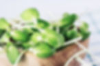 AdobeStock_79693132.jpeg