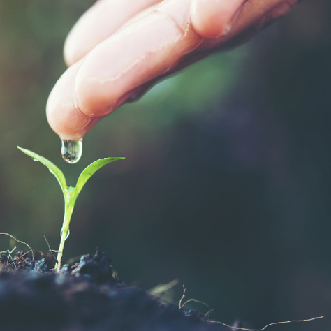 Overcoming Addiction: How Recovcoaching Can Help You