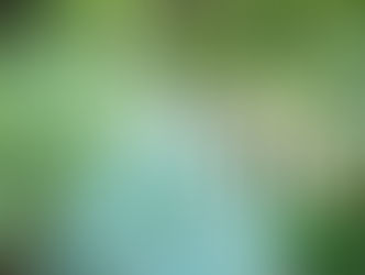 Moving from West Vancouver to Wine Country California, Family Photography by Rochelle Elise Photogra