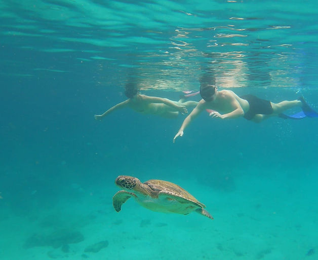 Snorkeling Trip