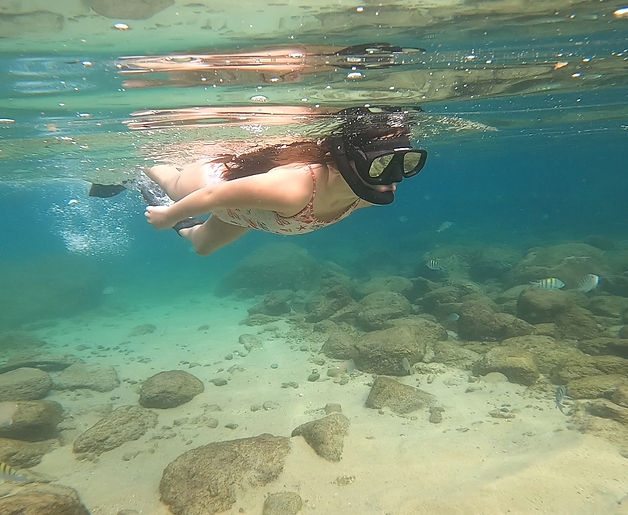 Snorkeling with Turtles Ilha Grande