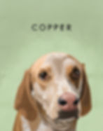 Thumbnail: Custom Pet Portrait