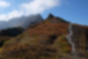 IMG_3123.jpeg