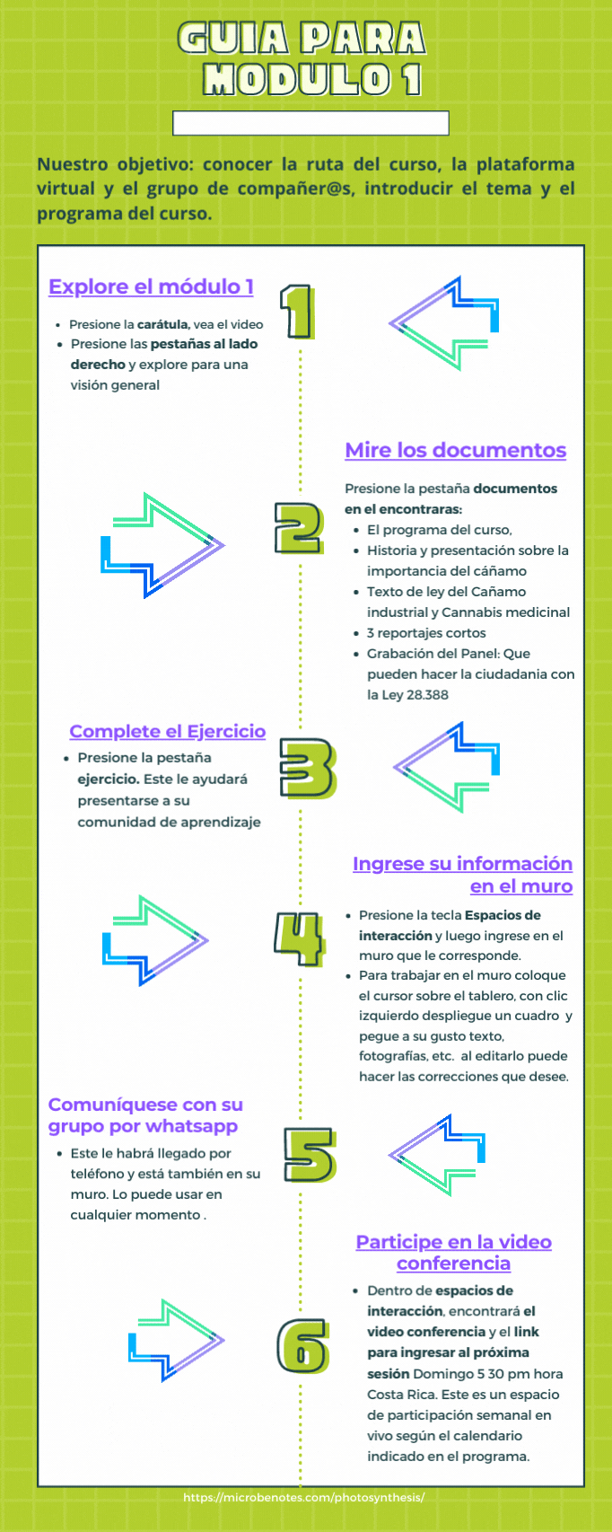 Verde Líneas Fotosíntesis Biología Infografía.gif