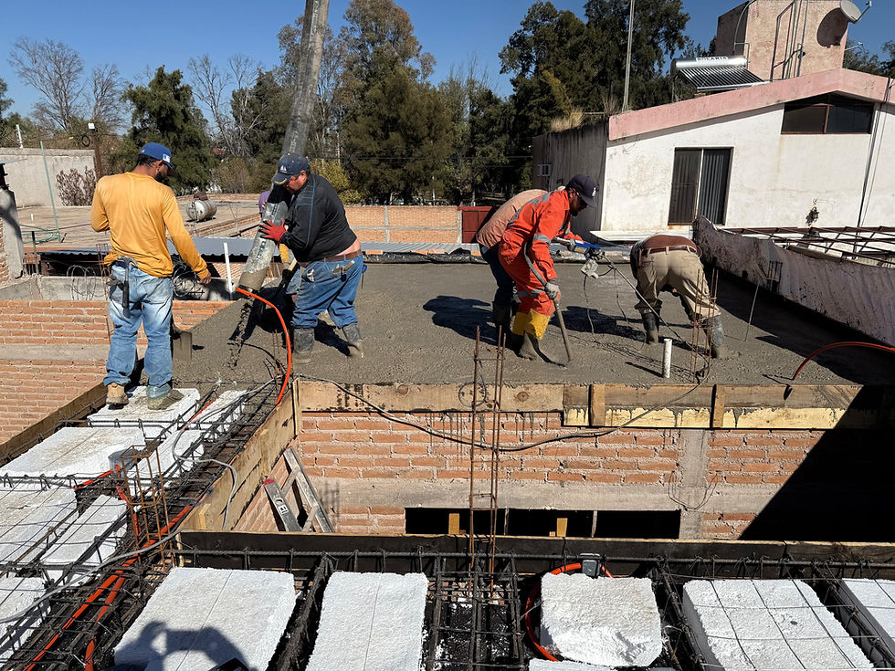 PHOTO-2024-12-27-12-40-39 3.jpg