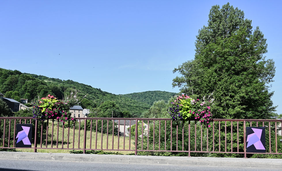 Installation "Les cocottes" à Vabre