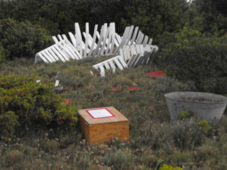 "La Baleine de Jonas"