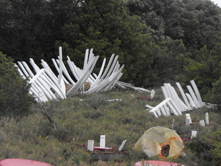 "La Baleine de Jonas"