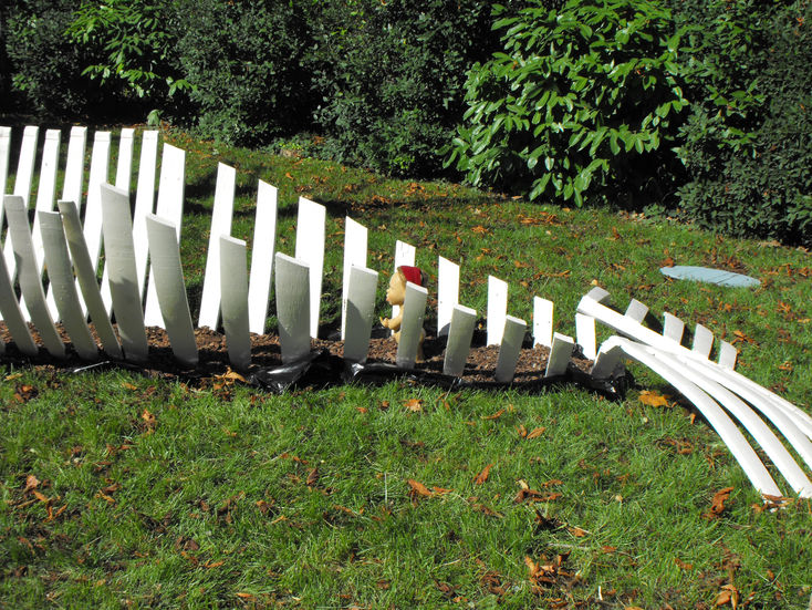 "La Baleine de Jonas"