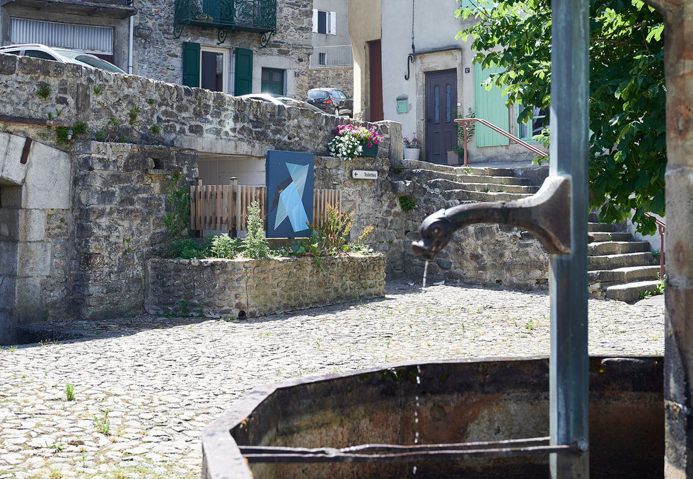 Installation "Les cocottes" à Vabre