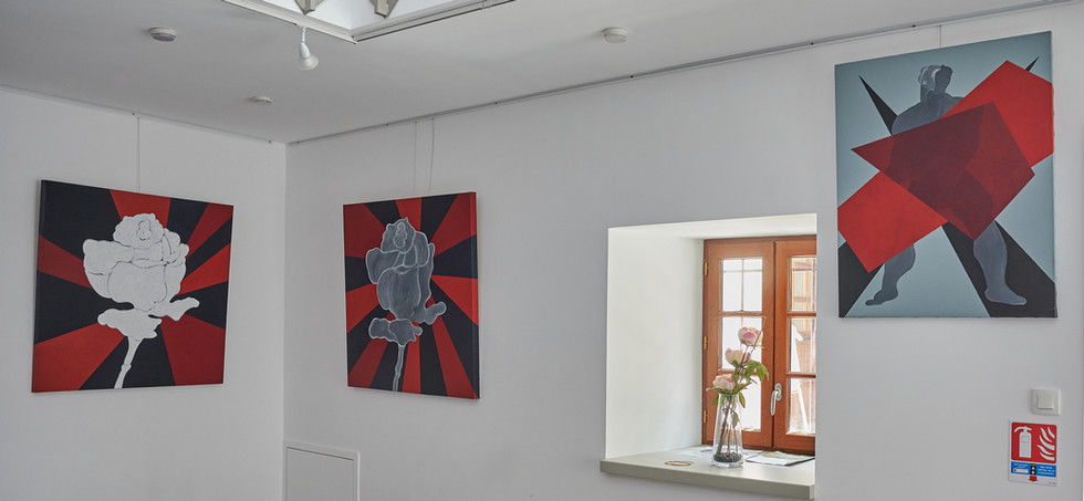 Série "Rose Blanche" à Vabre