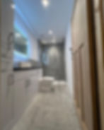 skyesthelimitbathroom.jpg