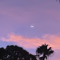 IMG_1638_edited.jpg