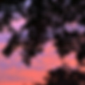 IMG_2073.jpeg