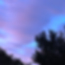 IMG_2070.jpeg